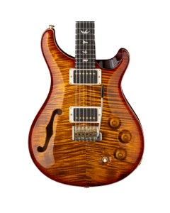 PRS DGT Semi Hollow Body Birds 10 Top Electric Guitar with Case