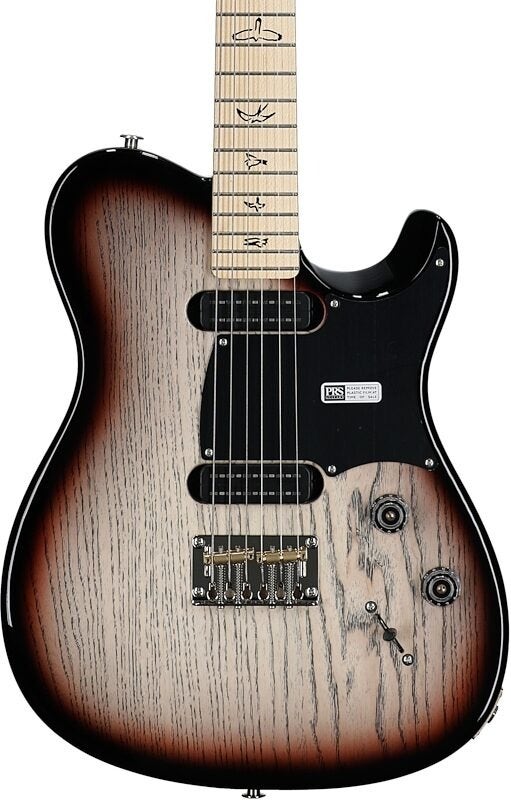 PRS NF53 Jasper Smokeburst with Gigbag View 2