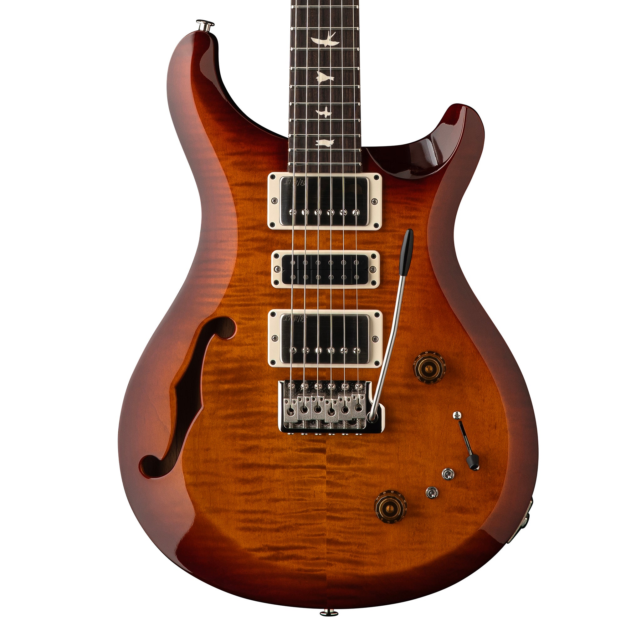PRS S2 Special Semi-Hollow Guitar with Gig Bag