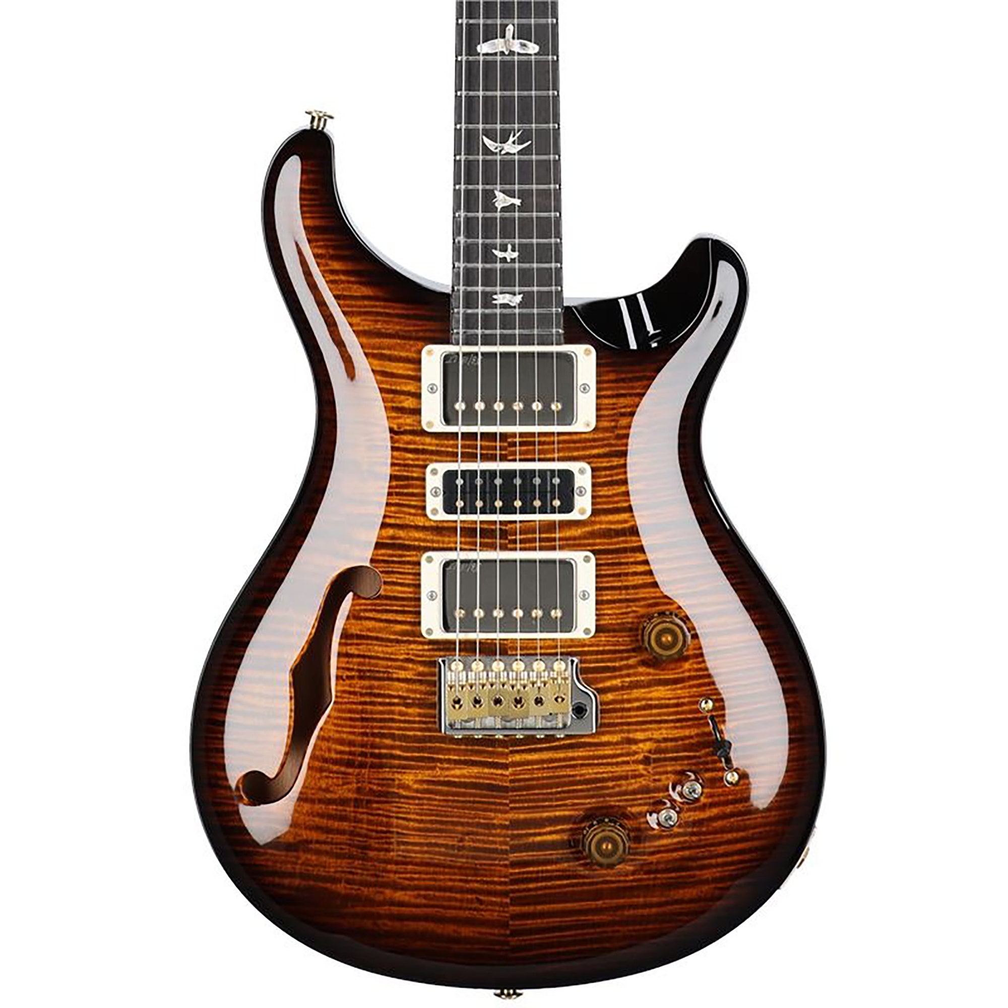 PRS Special Semi-Hollowbody 10 Top LTD Electric Guitar with Case