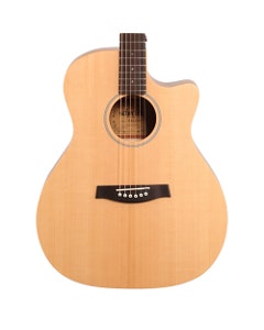 Schecter Deluxe Acoustic Guitar