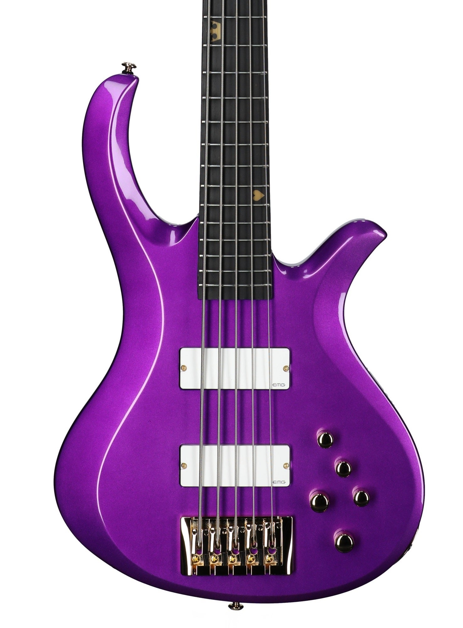 Schecter FreeZesicle 5-String Bass Guitar