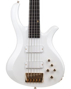 Schecter FreeZesicle Riot Bass 5 Guitar