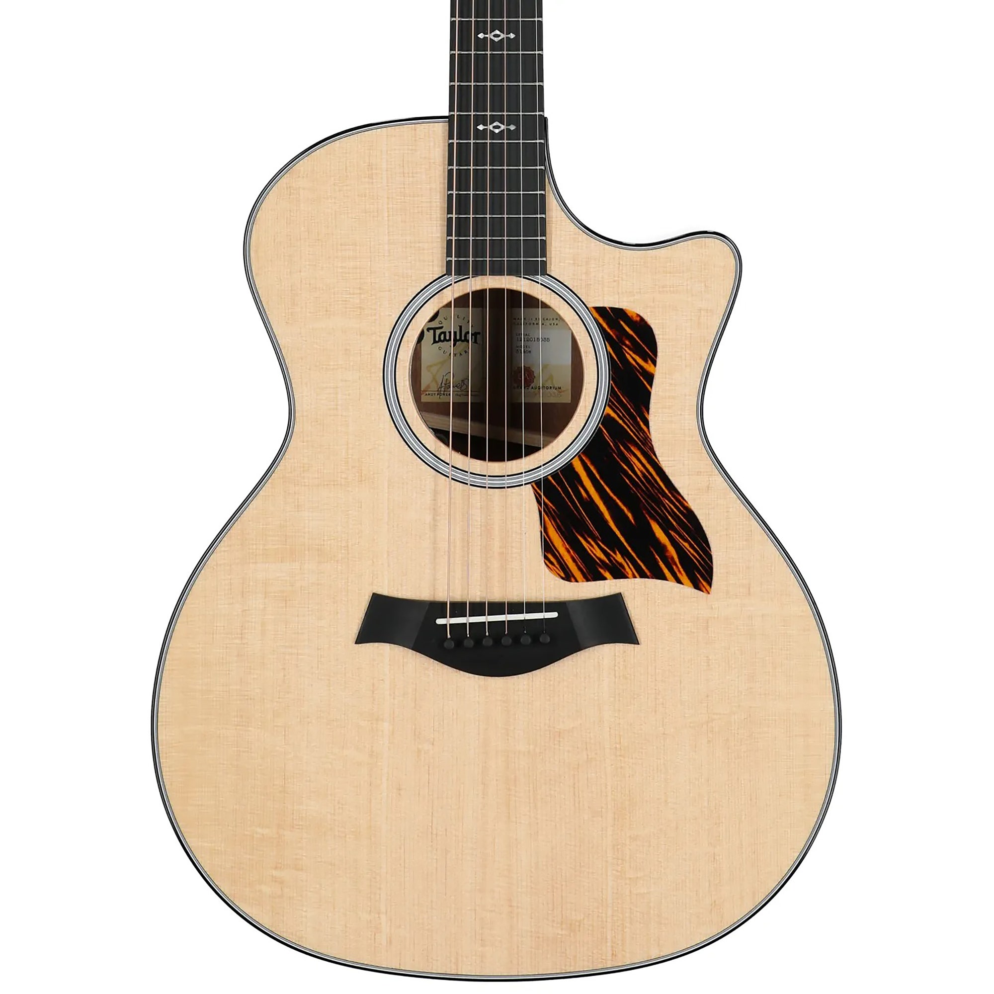 Taylor 314ce Grand Auditorium Acoustic Electric Guitar