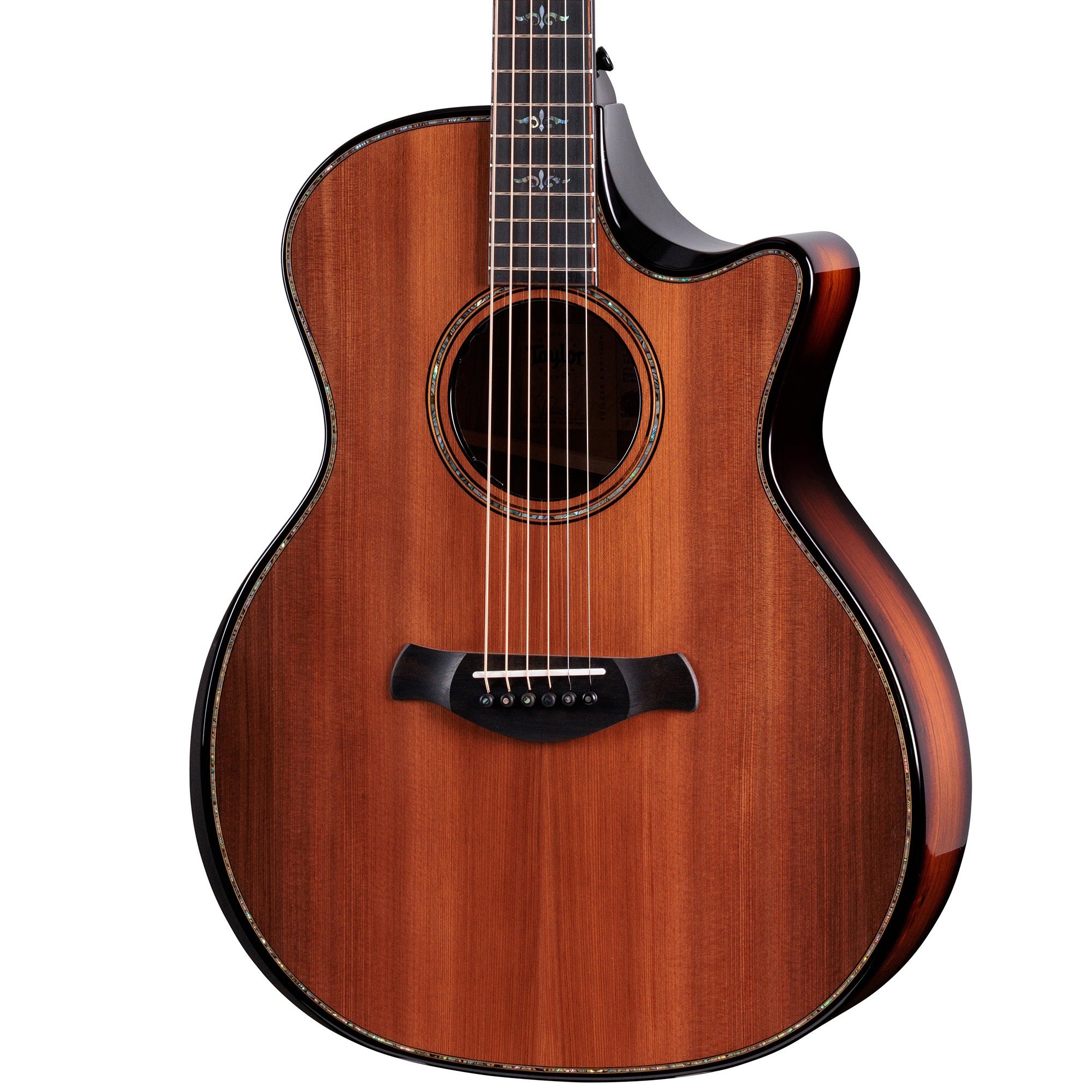 Taylor Builders Ed Next Gen 914ce Grand Auditorium A/E Guitar with Case