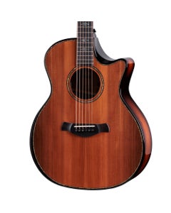 Taylor Builders Edition Next Gen 914ce Grand Auditorium A/E Guitar with Case