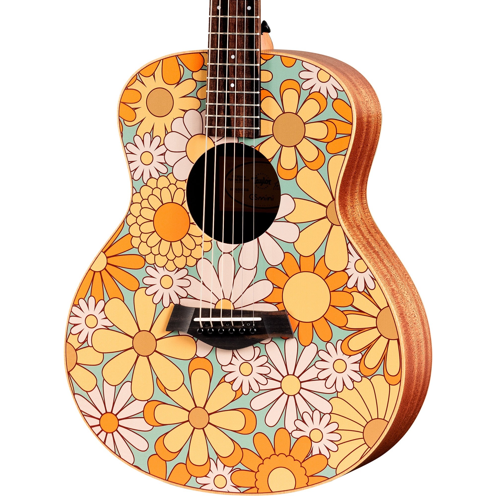 Taylor GS Mini-e Special Edition Floral Blue with Bag
