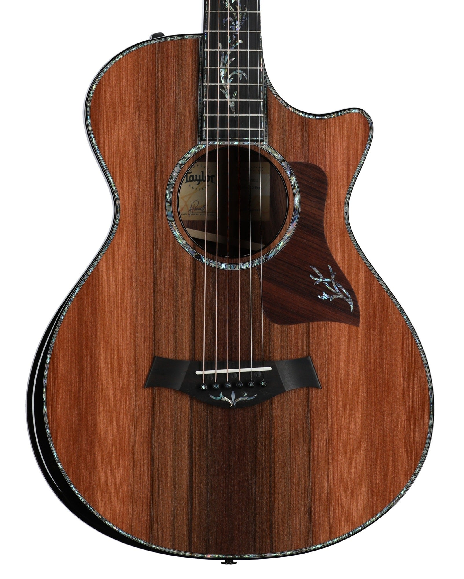 Taylor PS12ce 12-Fret Honduran Rosewood Grand Concert AE with Case