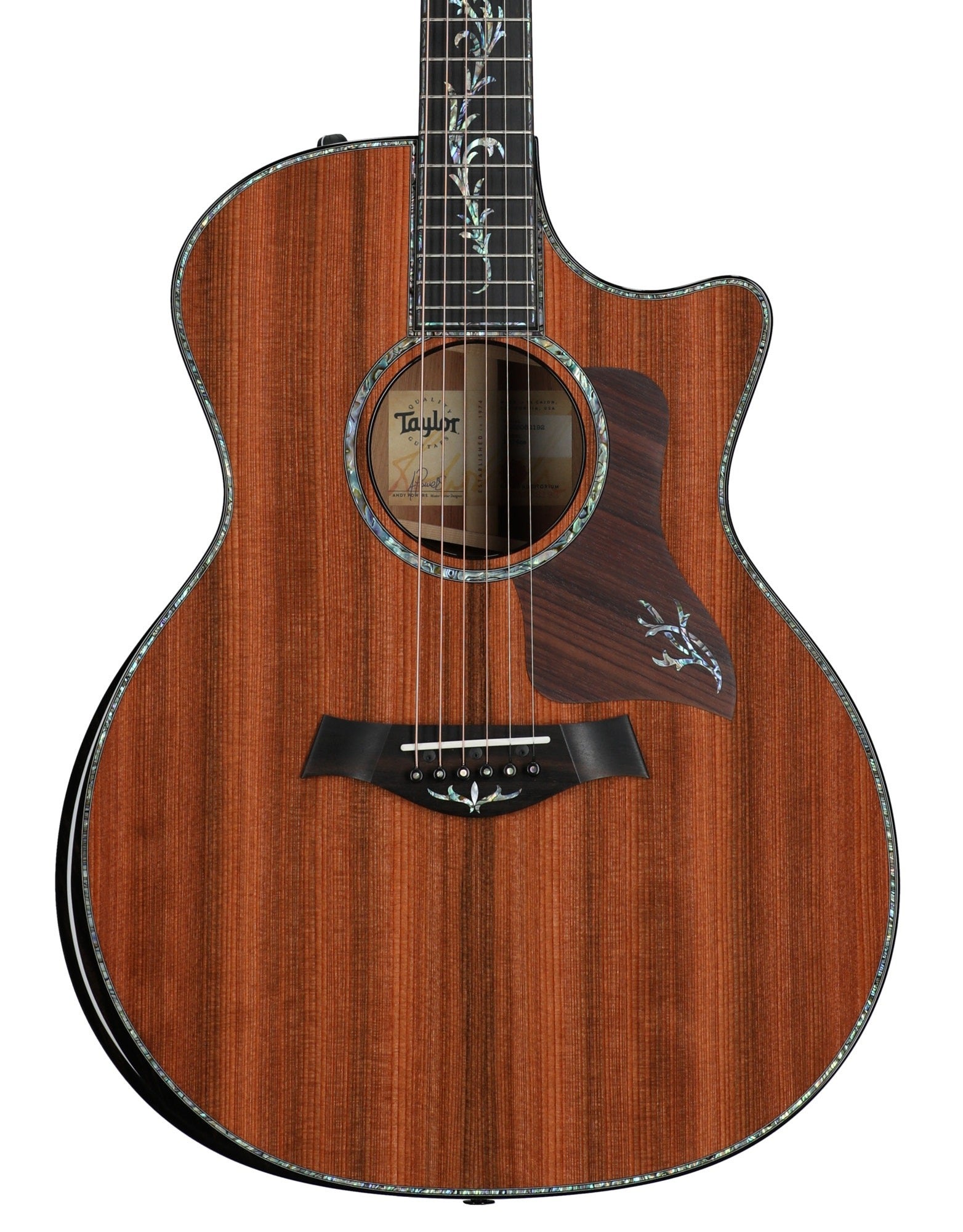 Taylor PS14ce Honduran Rosewood Grand Auditorium A/E Guitar with Case