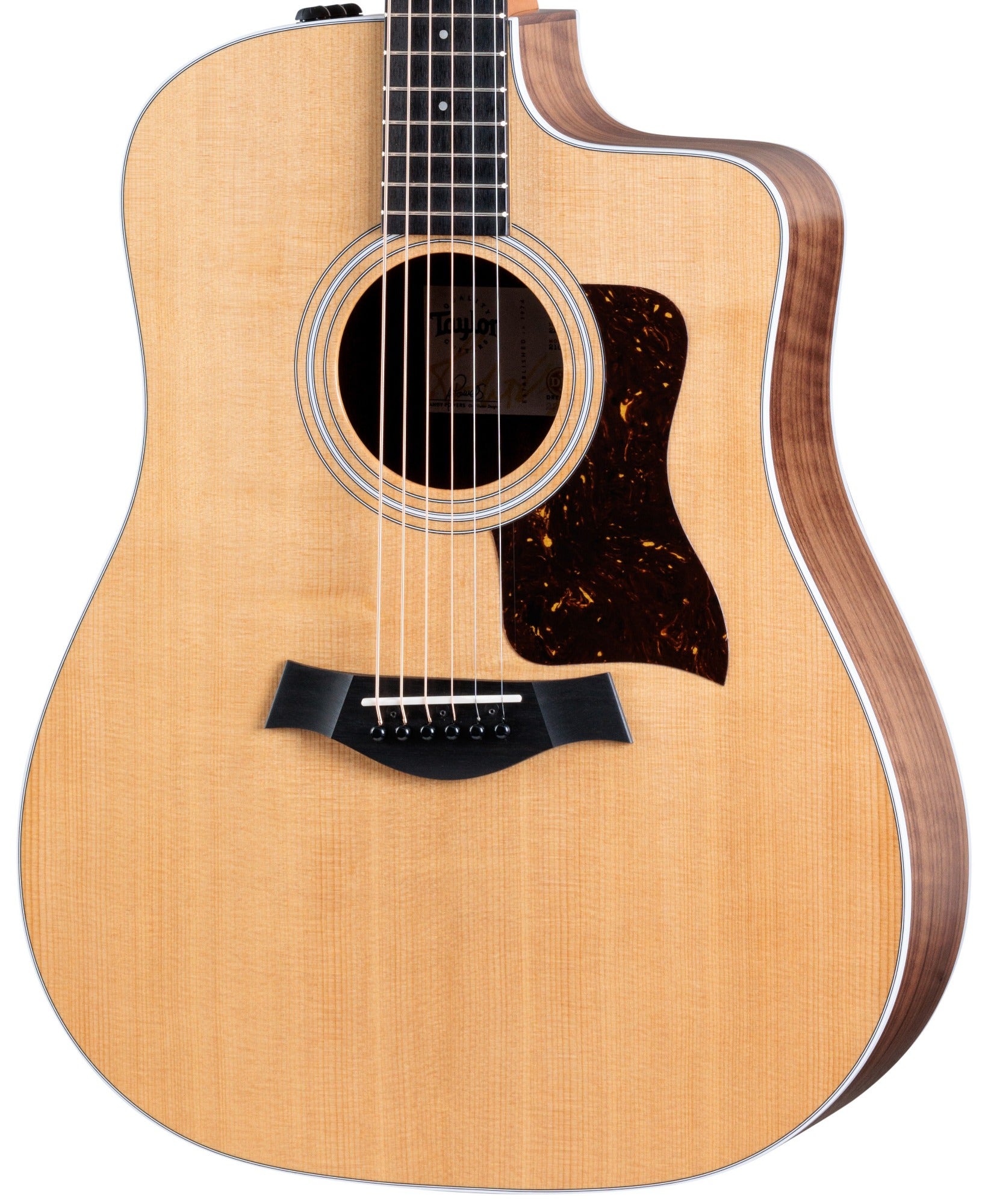 Taylor 210ce Dreadnought Acoustic Electric Guitar with Gig Bag