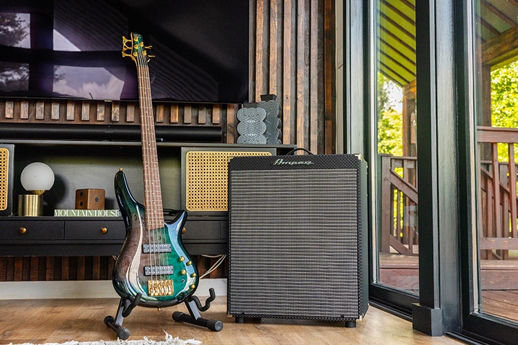 5-String Bass Guitar
