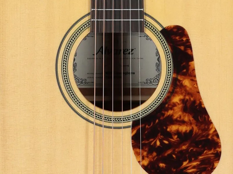 Alvarez MD60 Masterworks Herringbone Dreadnought A Dreadnought that Projects