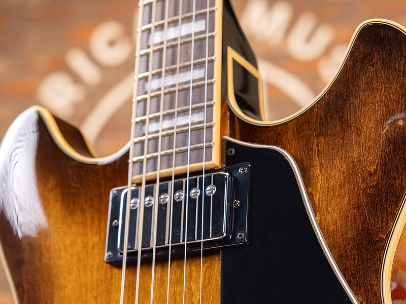 Ibanez Semi Hollow Guitar
