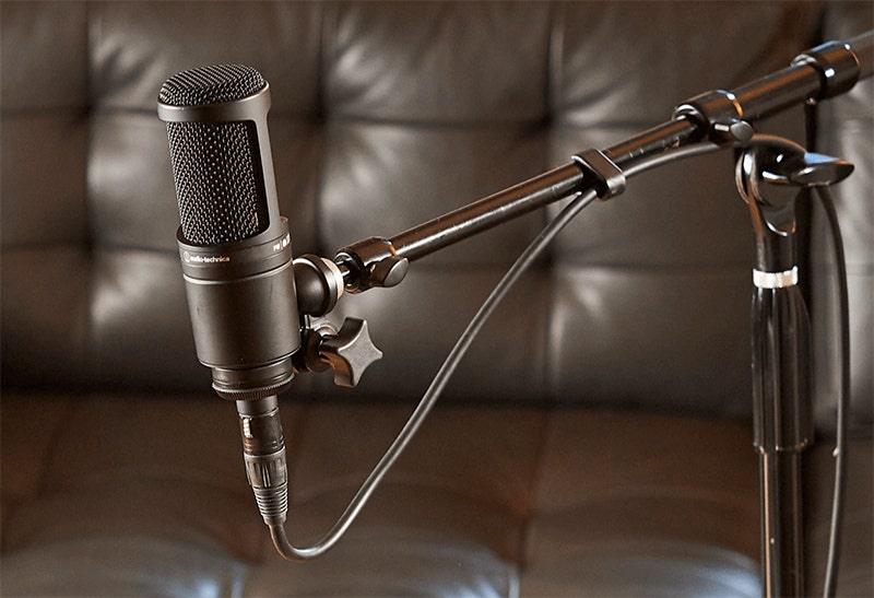 Audio-Technica AT2020 True-to-Life Isolation