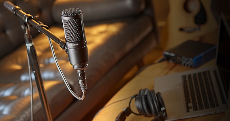Audio-Technica AT2020 Pristine Sound, Accessible Price