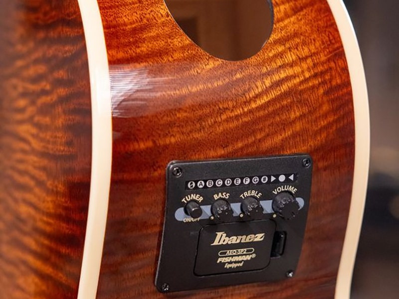 Acoustic electric guitars