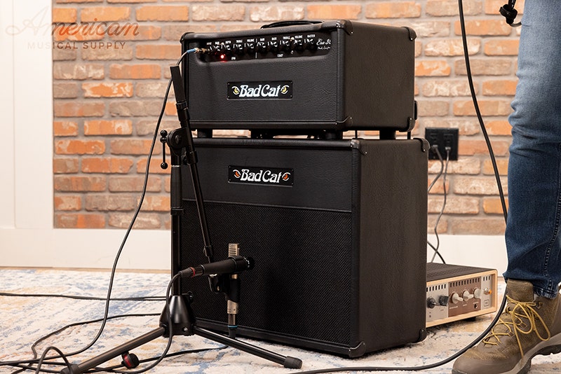 Bad Cat Era 30 Designed for Professionals