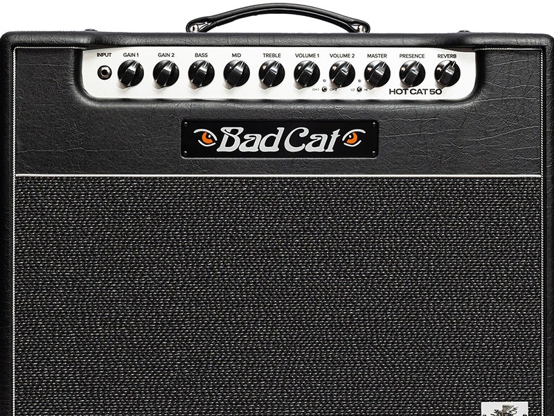 Bad Cat Mod Shop Hot Cat 50 Four Voices. One Fearless Identity