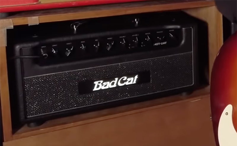 Bad Cat Mod Shop Hot Cat 50 Four Voices, One Powerful Identity