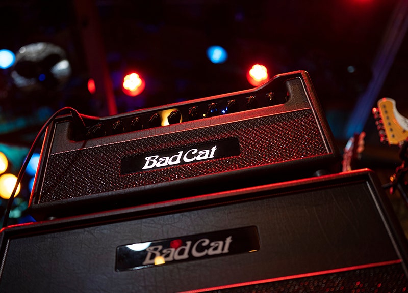 Bad Cat Mod Shop Hot Cat 50 Power That Punches Back