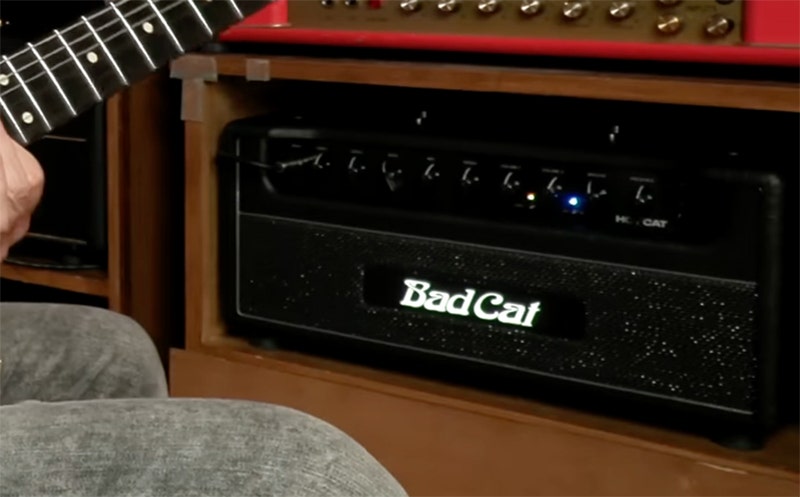 Bad Cat Mod Shop Hot Cat 50 Versatile by Design