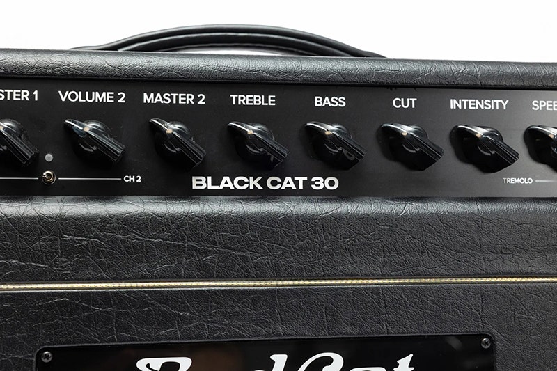 Bad Cat Mark Sampson Modified Boutique Build, Tour-Ready Tone