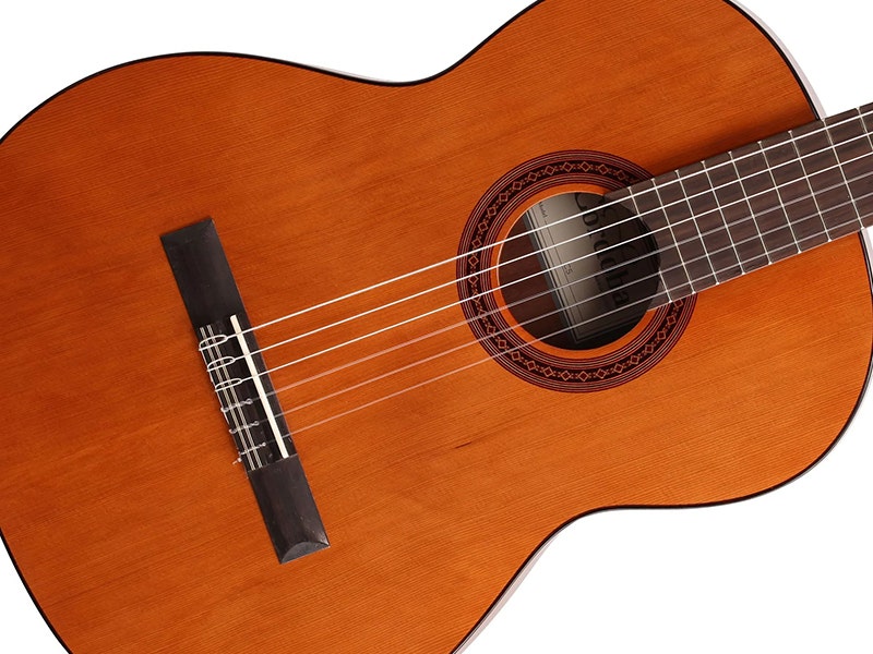 Cordoba Iberia C5 Cedar, Mahogany, and Plenty of Character