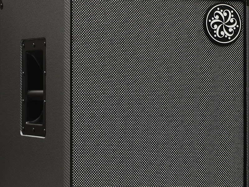 Darkglass DG212NE Stage Presence Meets Road-Ready Resilience