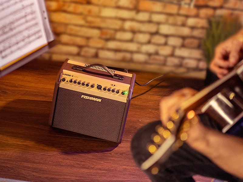Fishman Loudbox Mini Authentic Acoustic Artistry
