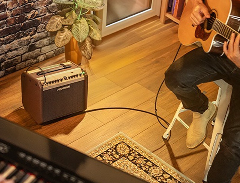 Fishman Loudbox Mini Petite and Powerful
