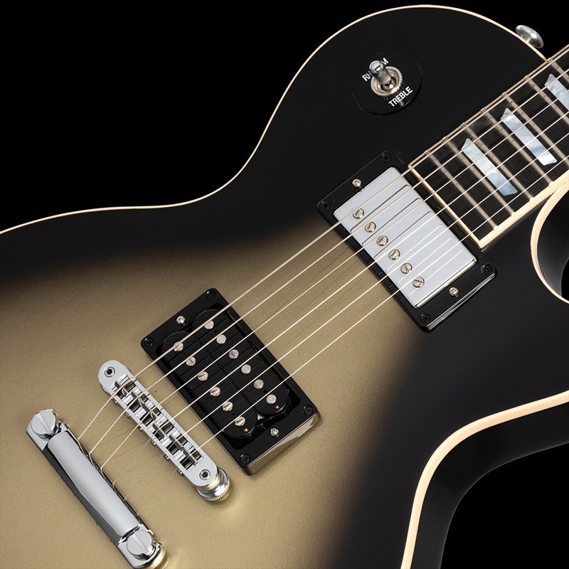 Gibson Adam Jones Les Paul Tailored to Adam Jones Specifics