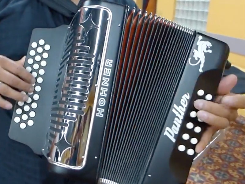 Hohner 3100FB Panther Ready for the Stage and the Road