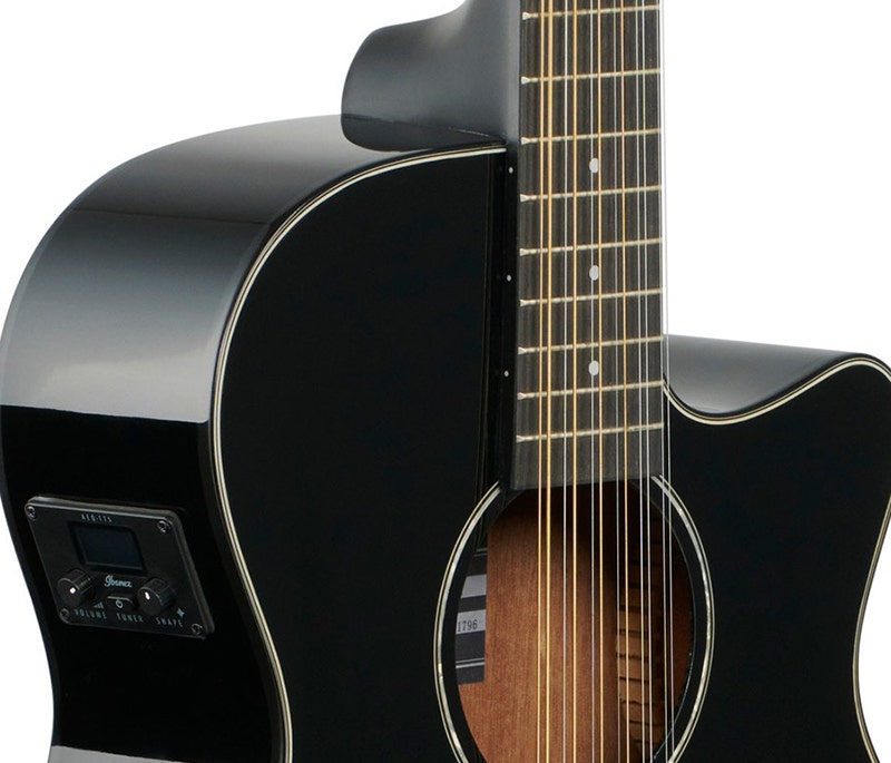 Ibanez AEG5012 Plug In and Turn Up
