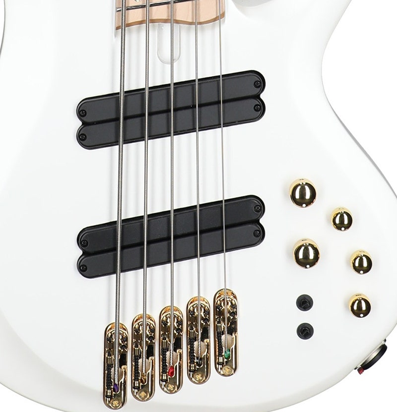 Ibanez Bass Workshop BTB605 Built for the Players Who Demand More