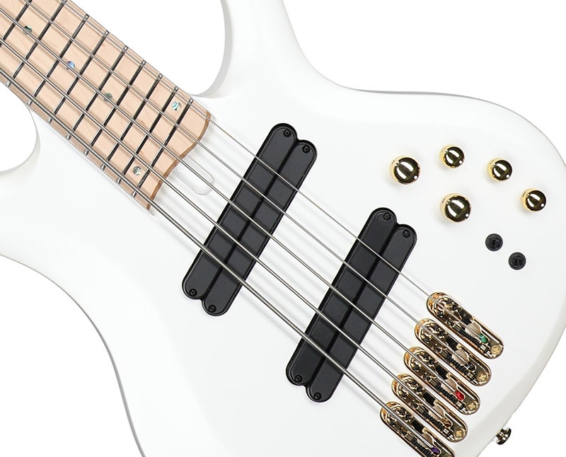 Ibanez Bass Workshop BTB605 Tone Shaping That Adapts to your Vision