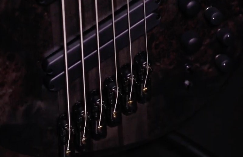 Ibanez BTB805MS Road-Ready Resilience
