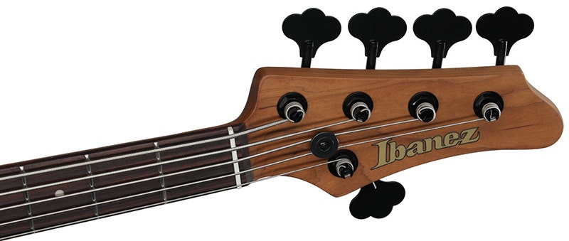 Ibanez Mode MDM1605 5-String Bass A New Benchmark for Bass