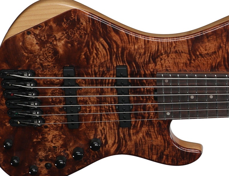 Ibanez Mode MDM1606 Tonal Titan Electronics: Built for the Bold