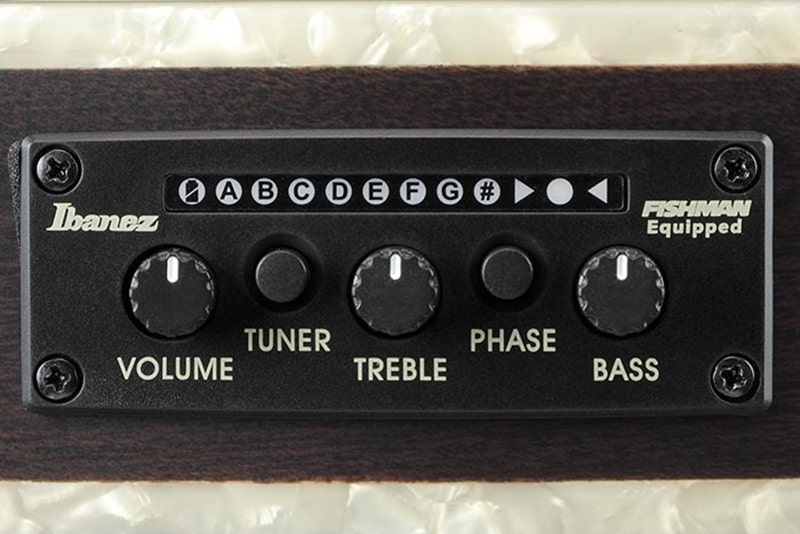Ibanez Tim Henson TOD10N Smart Features to Electrify Your Performance
