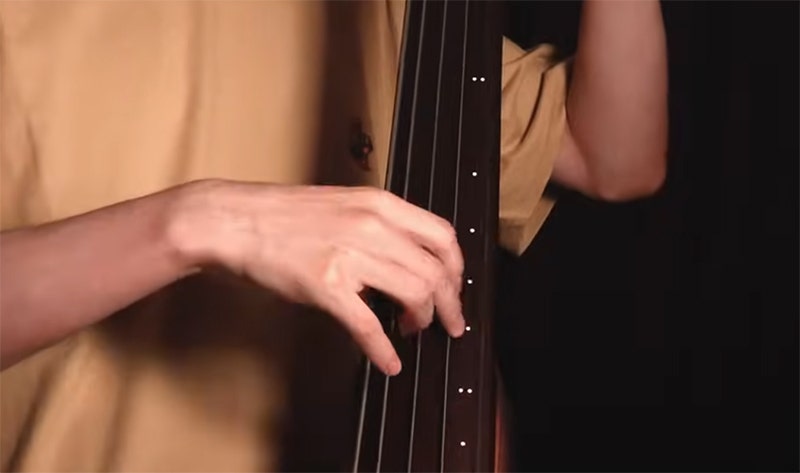 Ibanez Bass Workshop UB805 Designed for Travel, Built to Perform