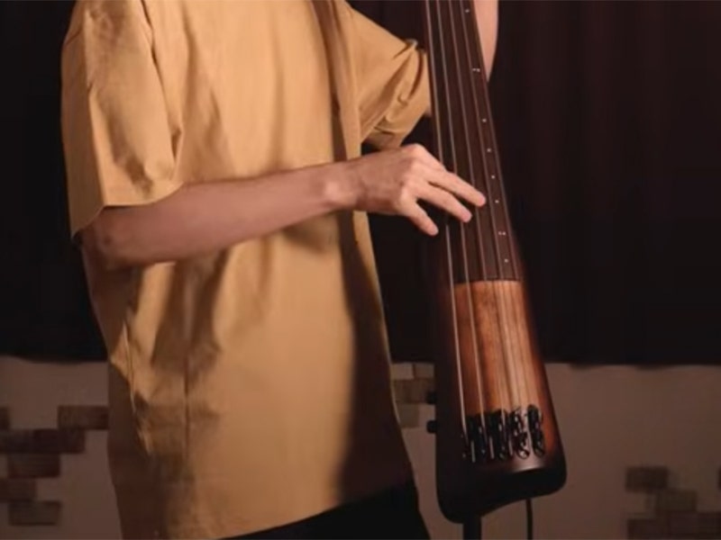 Ibanez Bass Workshop UB805 A Seamless Switch to Upright