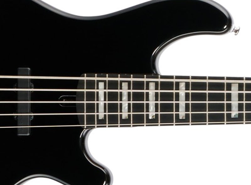 Lakland Skyline 55-02 Designed for the Journey