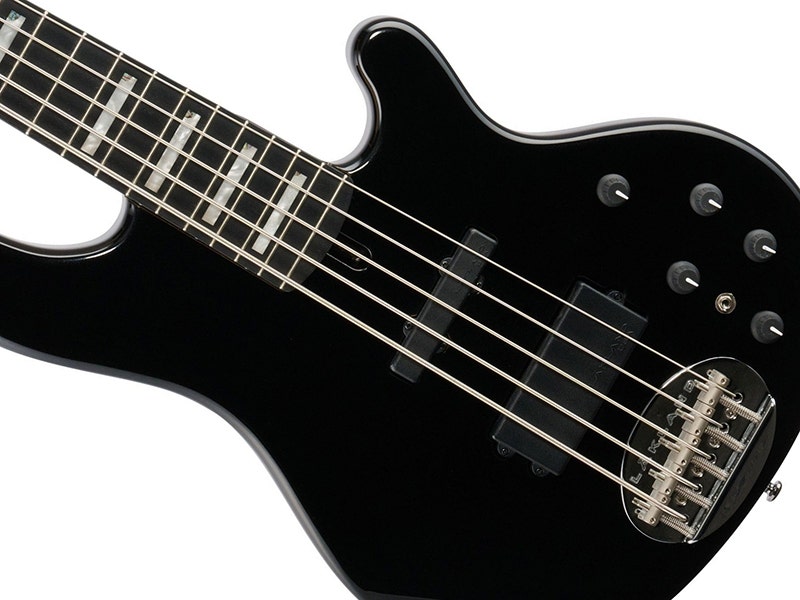 Lakland Skyline 55-02 Monster Tone, Down Low