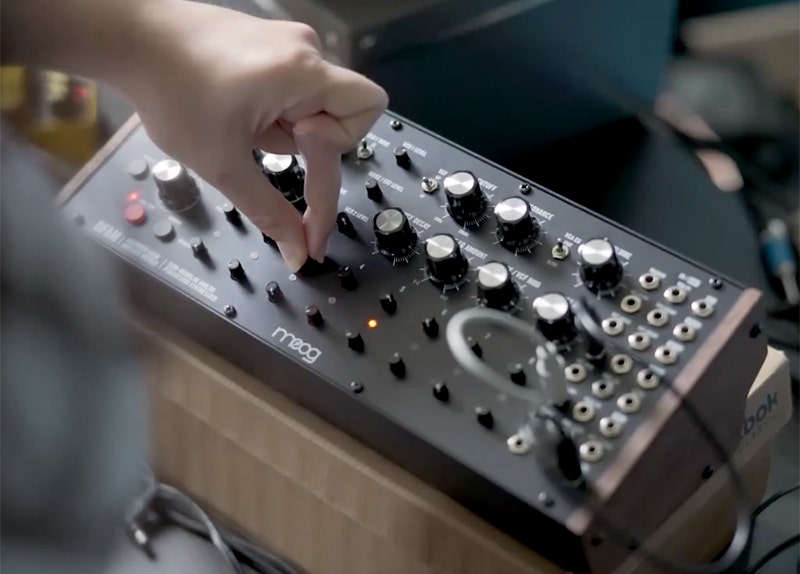 Moog DFAM A Living, Breathing Organism