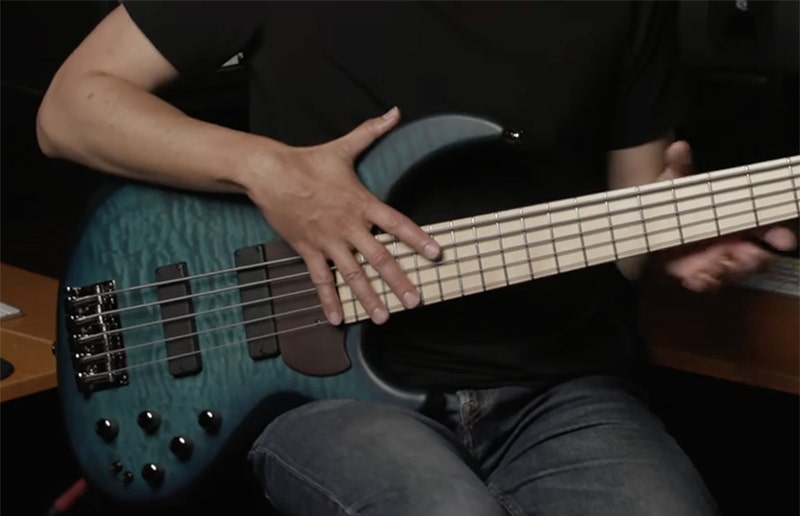 MTD Kingston Saratoga Crafted for the Modern Bassist