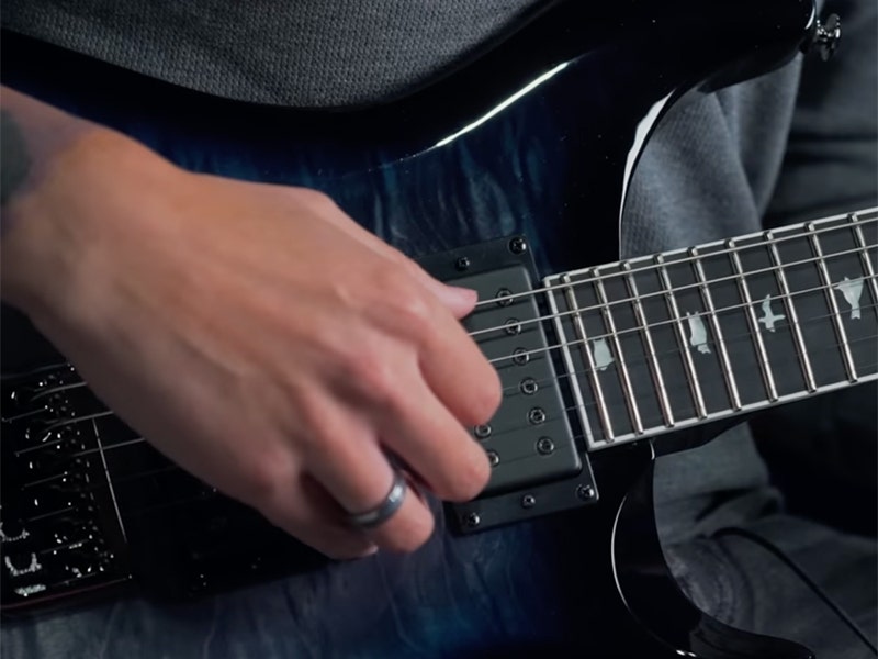 PRS SE Mark Holcomb Dark, Dangerous and Dressed to Kill
