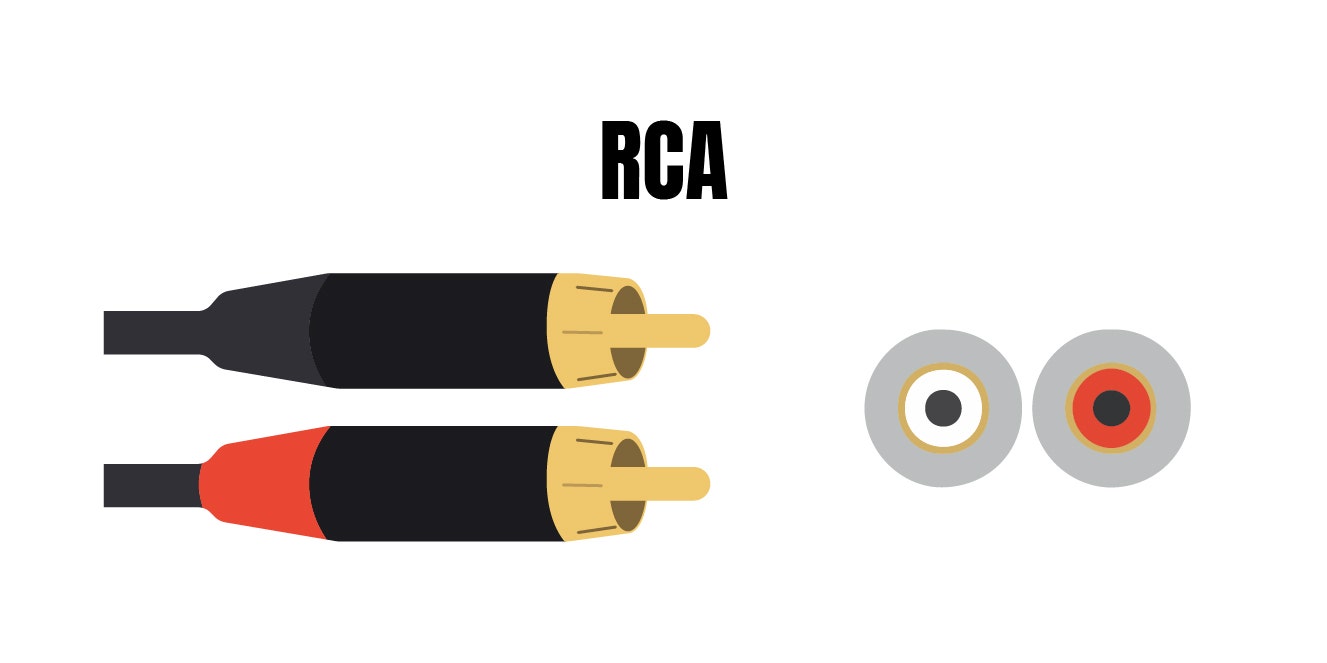 Graphic of an RCA cable at American Musical Supply