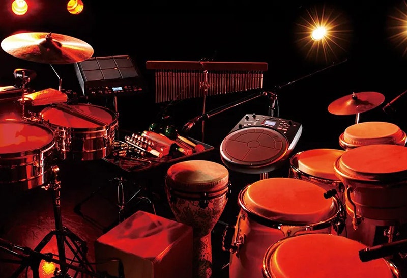 Roland HandSonic HPD-20 A Universe of Sounds at Your Fingertips