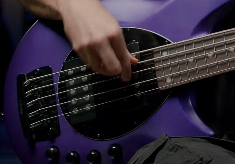 Sterling by Music Man Bongo 5 Form Meets Function