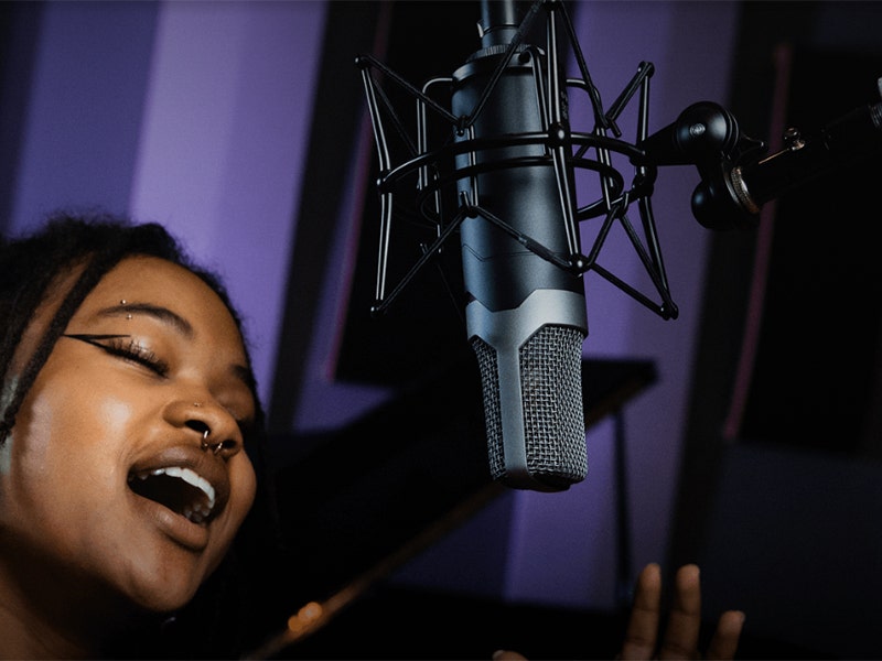 Slate Digital ML-1A The Perfect Mic for Your Vocals